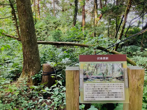 伏条更新（ふくじょうこうしん）？