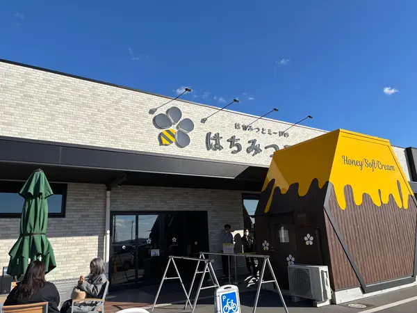 店内ではちみつ食べ比べや試飲出来たり夢のようでした