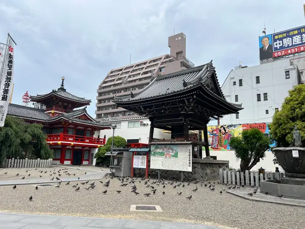 人より鳩の方が多そう