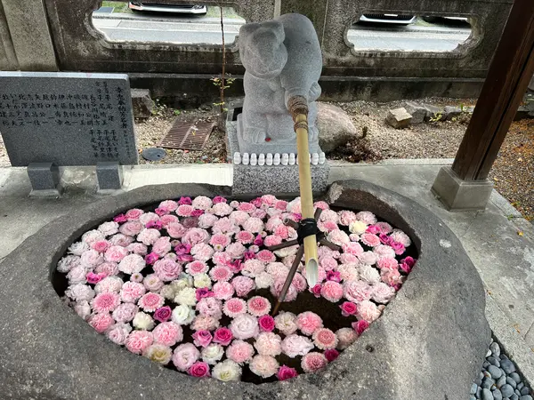綺麗な花手水🎀💕