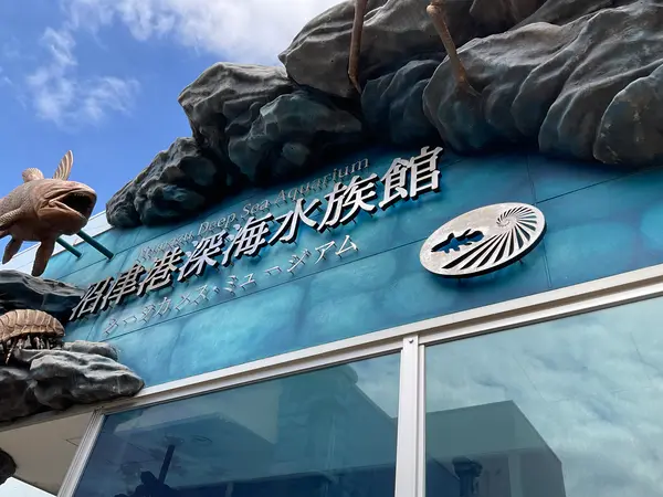 入口