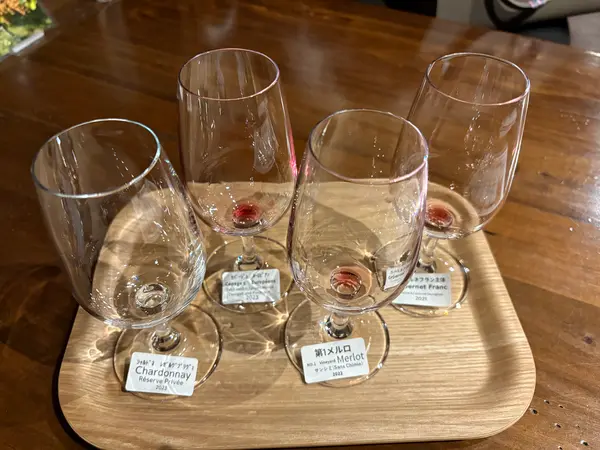 スポット内のおすすめ