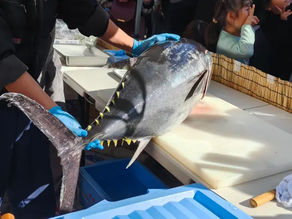 マグロ解体ショー