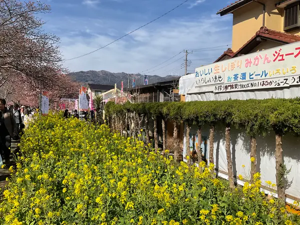 スポット内のおすすめ