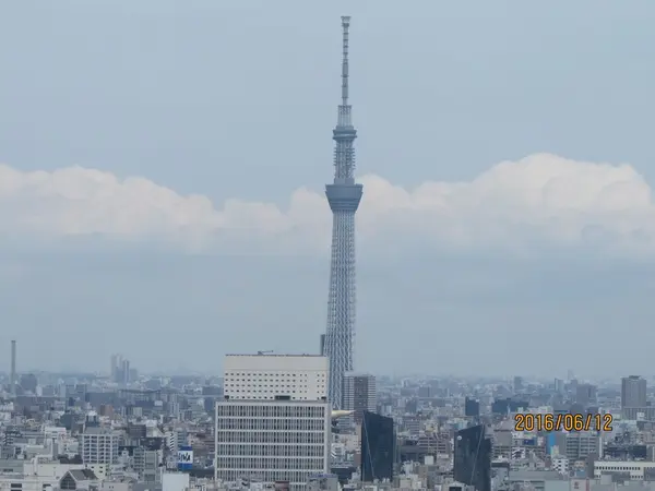 スカイツリーが見えます♪