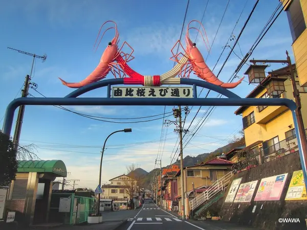 由比桜えび通り