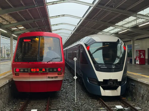 キンメ電車とサフィール踊り子