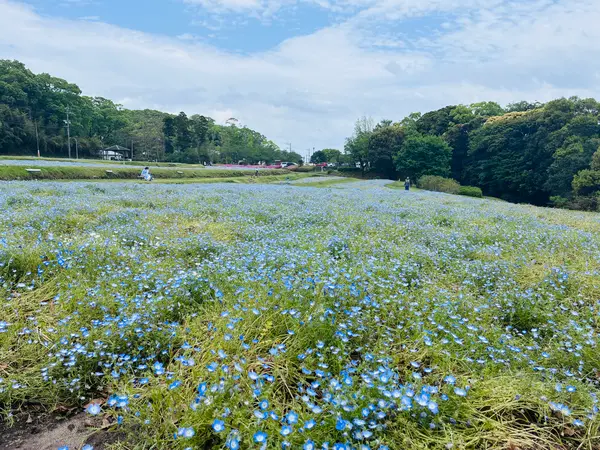 慈眼寺公園