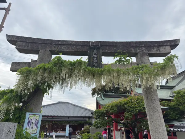 藤の花の鳥居