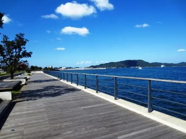 カモメの散歩道