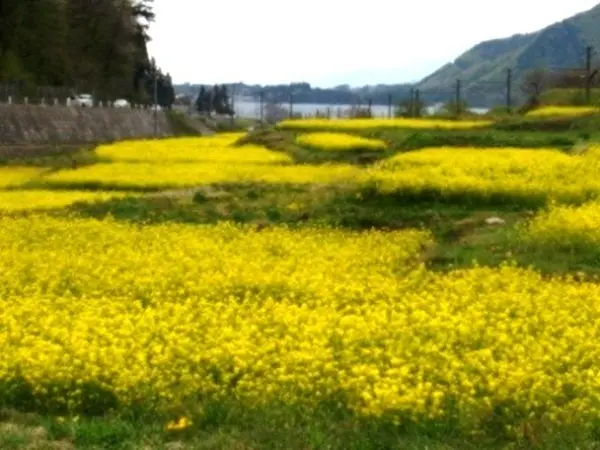 木崎湖から中綱湖へ