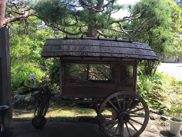 思わずぱしゃっとしたくなる！