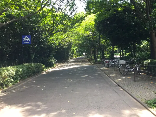 サイクリングロード02