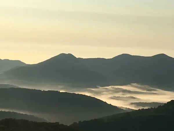 この日の雲海