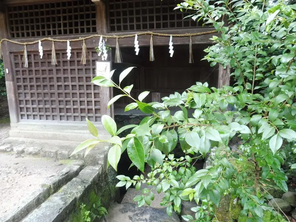 桐原水