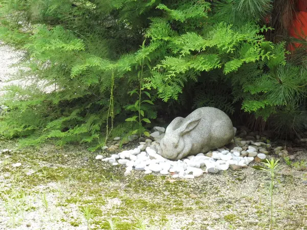 境内でウサギさんを見つけよう…！