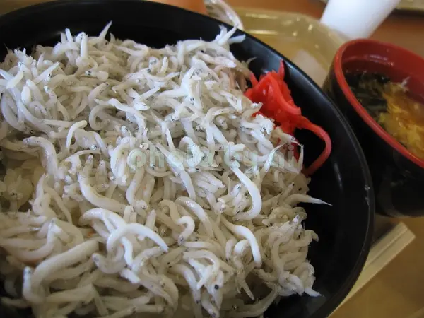 大洗直送しらす丼