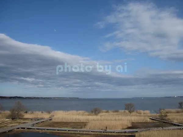 霞ヶ浦総合公園