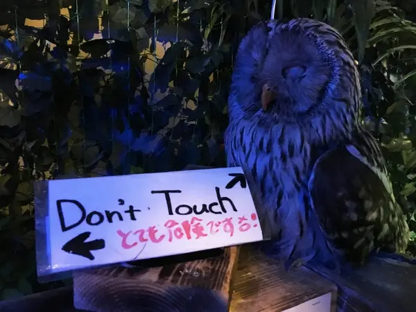 Ｄon't touch me!!