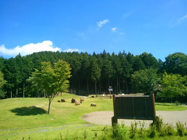 山上広場でまったり♪