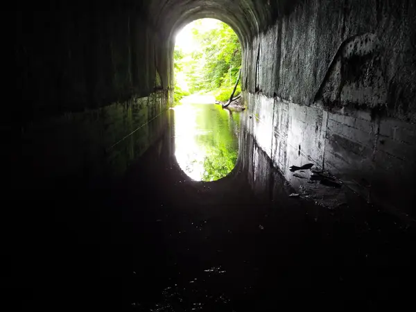 水溜