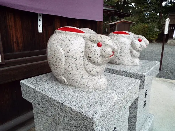 狛兎？
