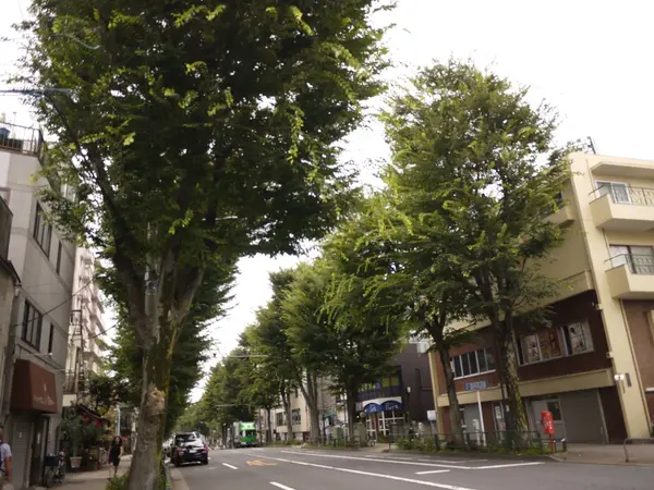 この通りがアツい！