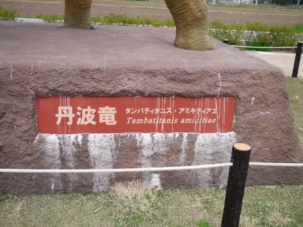 丹波竜の紹介