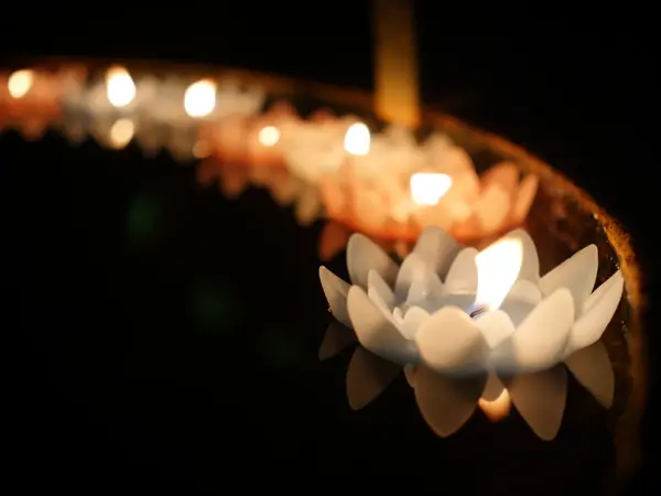 カメラ女子にもオススメ♪