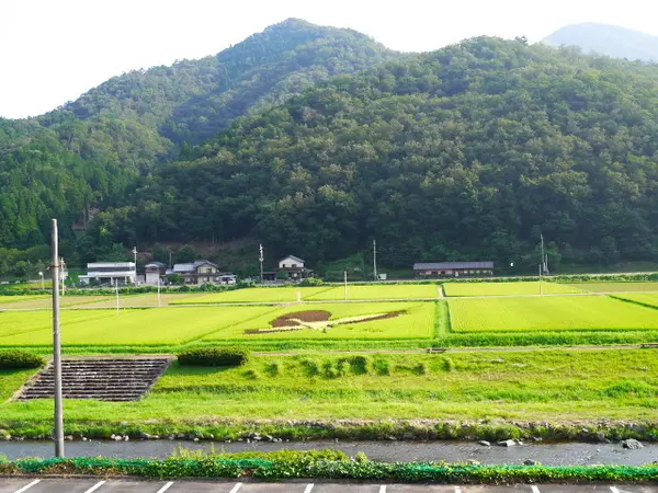 ちょっと見にくいです