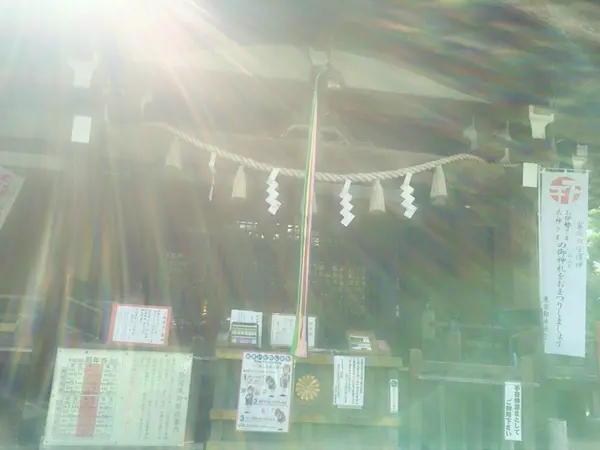 日差しが眩しい