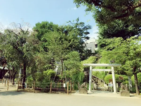 都会のオアシス