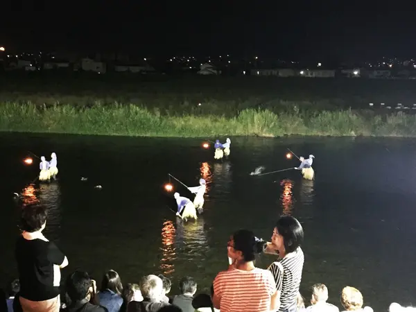 鵜飼いも見れます