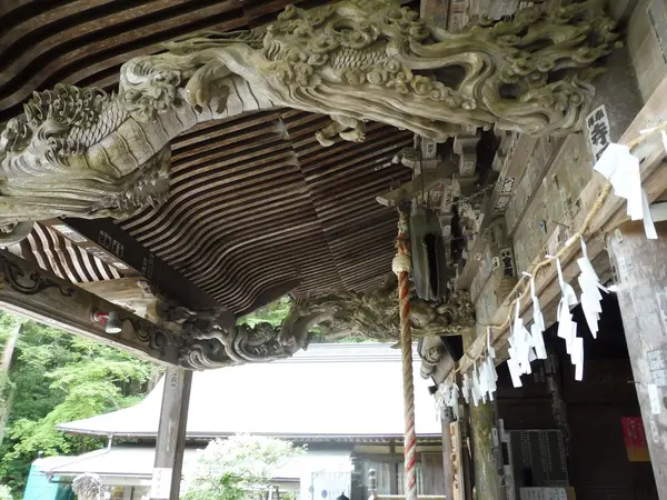見事…！向拝の龍