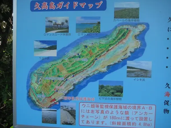 歩いて周れる。