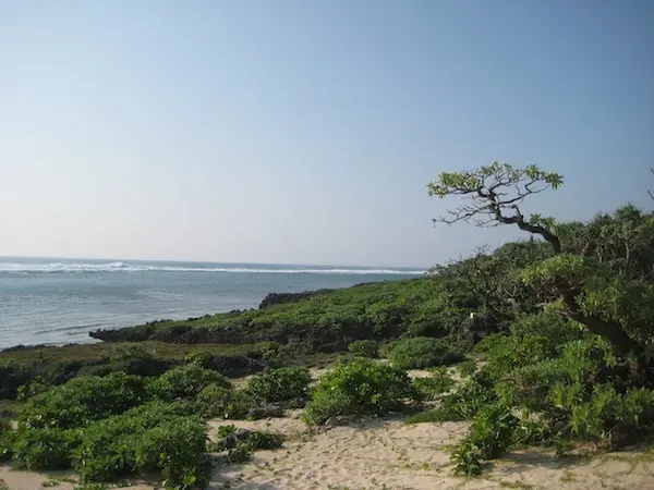 すぐに海が見えてくる。