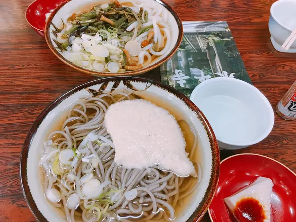 とろろそばと山菜うどん