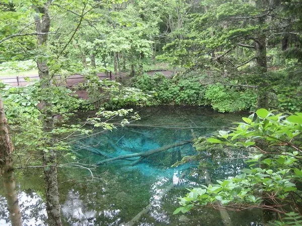 透き通ったブルー。