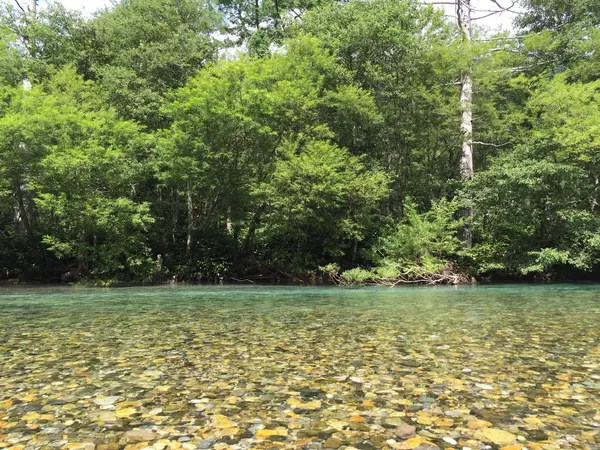 梓川の清流
