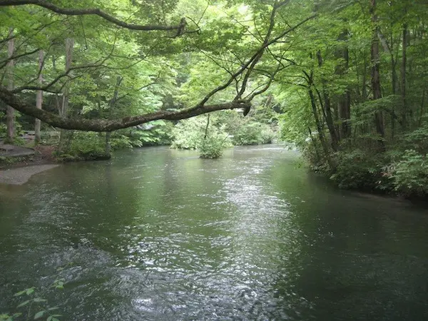 景色が良く、空気が澄んでいる。