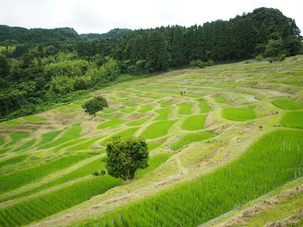体感して欲しい、この風景♪