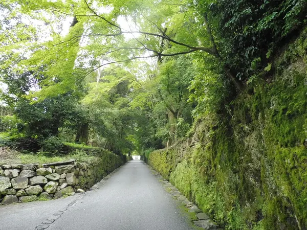 参道の雰囲気がステキです