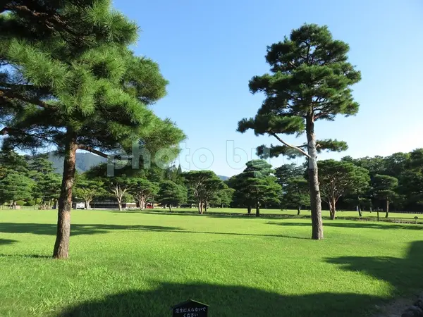庭園