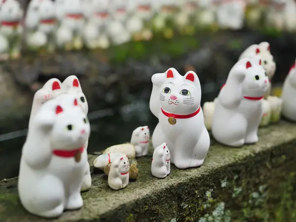 よそ見している猫がカワイイ