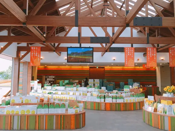 メロンの販売ももちろんあります🍈