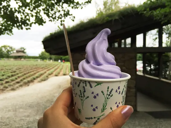 ラベンダーソフト🍦