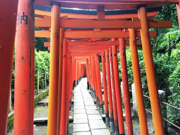 真っ赤な鳥居に囲まれて