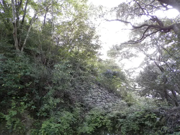 城山