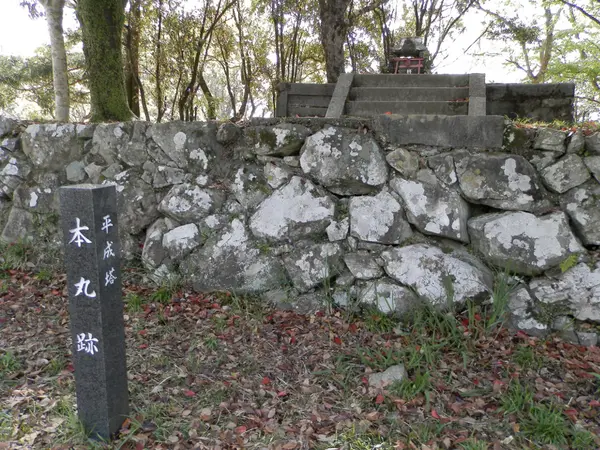 佐伯城