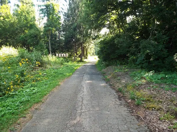 道